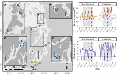 Short-term effects of an unprecedented heatwave on intertidal bivalve populations: fisheries management surveys provide an incomplete picture